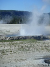 Yellowstone 4