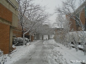 A walk to class while trying my best not to slip on a snowy and stormy day.