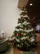 Christmas tree in the visitor center