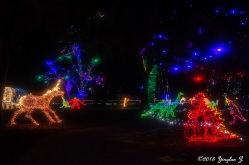 Christmas Lights 3
